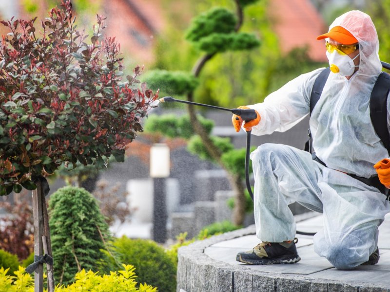 Karamanlı Haşere İlaçlama